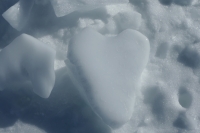 gabriellebos P1078288 Groot