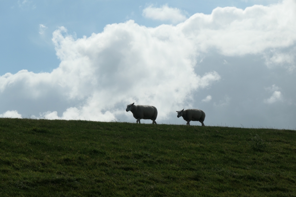 gabriellebos P1022788 Aangepast