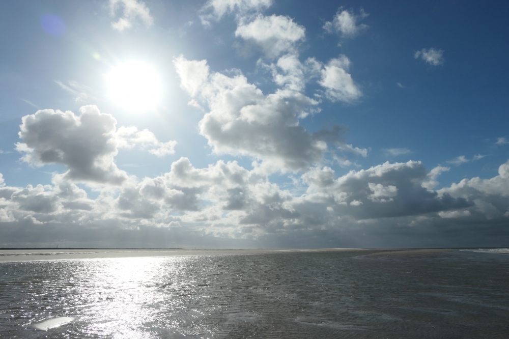 gabriellebos P1022815 Groot 1