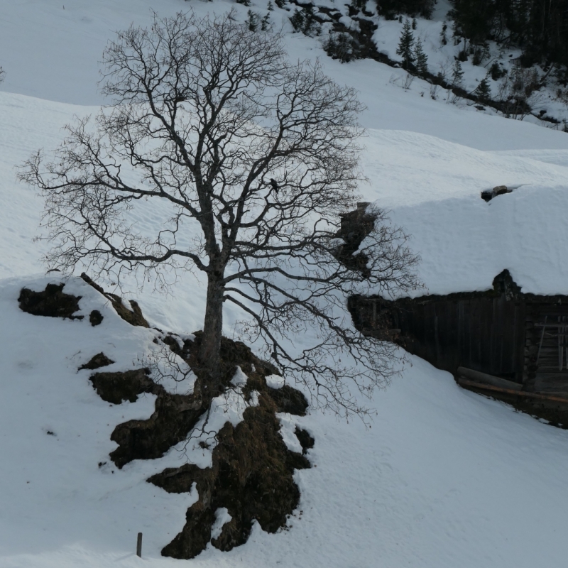 gabriellebos P1067647 2 Groot